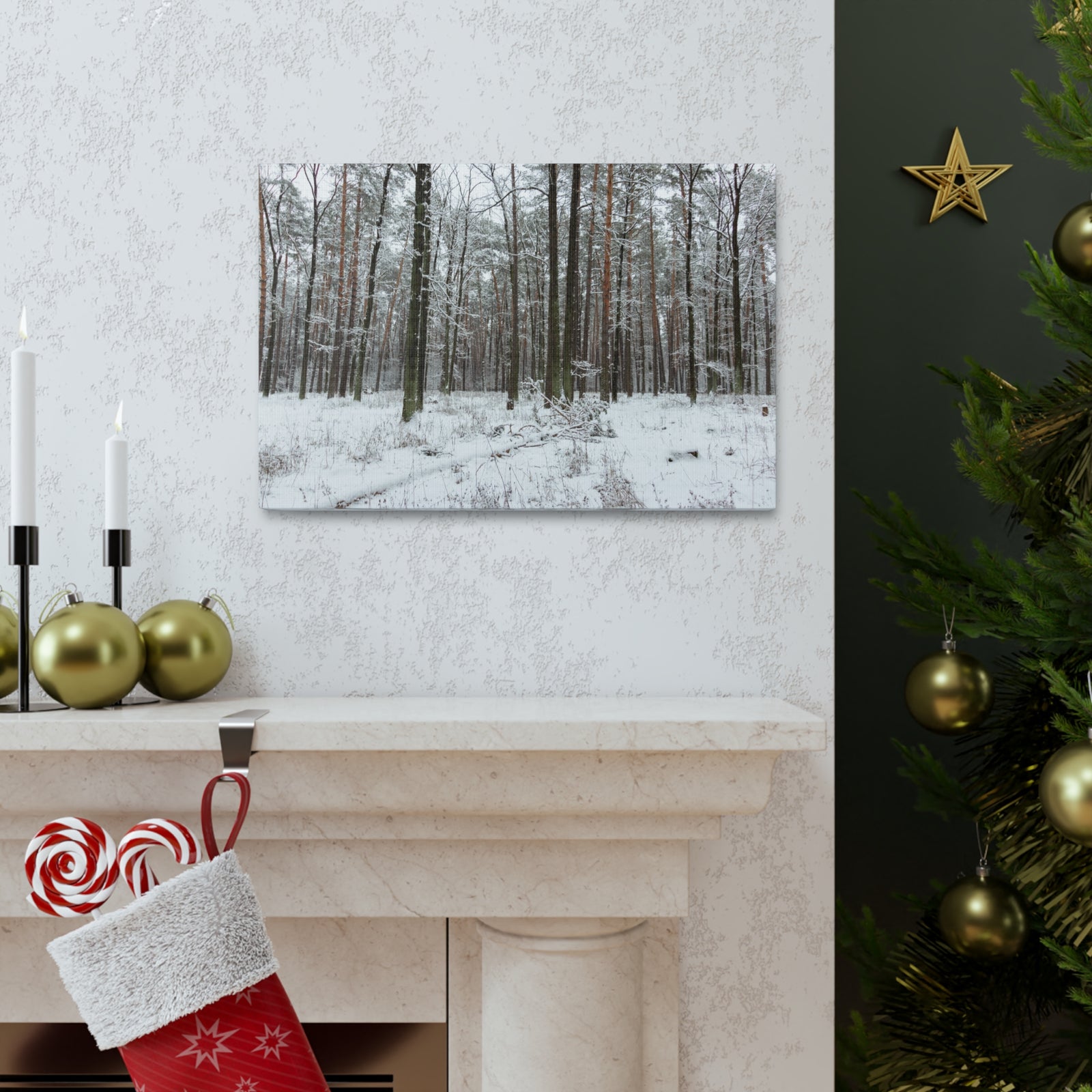 Winter Tree Covered In Snow Forest Nature Wilderness Photography Canvas Wall Art for Home Decor Ready-to-Hang-Express Your Love Gifts