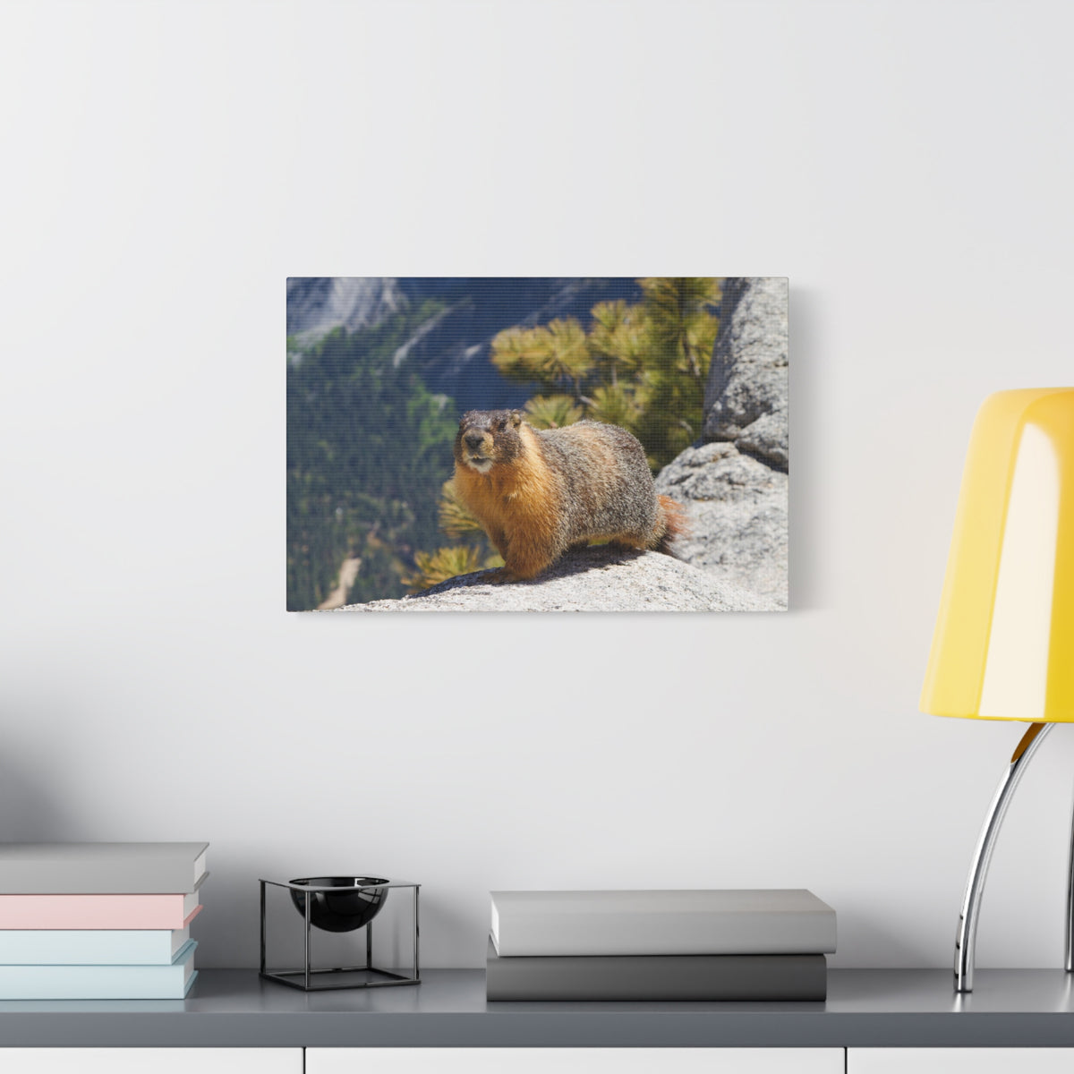 Majestic Yellow Bellied Marmot Art Majestic Yellow Bellied Marmot Print Animal Wall Art Wildlife Canvas Prints Wall Art Ready to Hang-Express Your Love Gifts