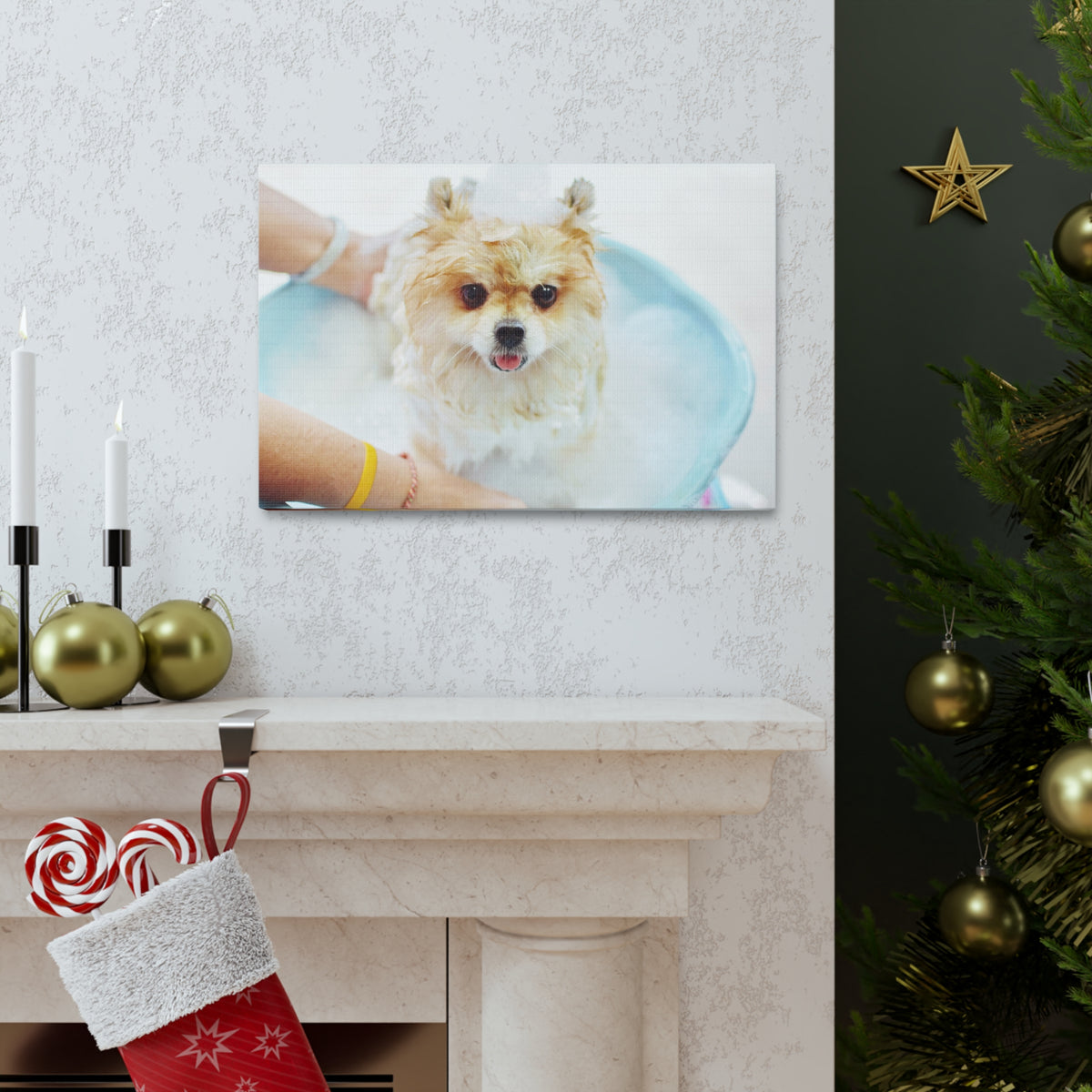 Cute Pomeranian Bath Canvas Wall Art for Home Decor Ready-to-Hang-Express Your Love Gifts