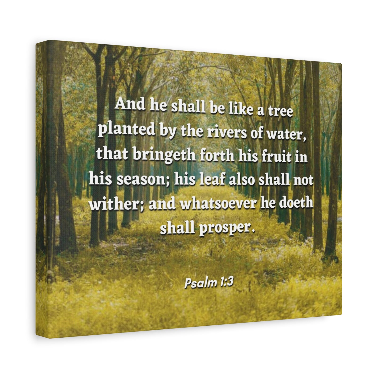 Scripture Canvas Shall Prosper Psalms 1:3 Christian Wall Art Bible Verse Print Ready to Hang-Express Your Love Gifts