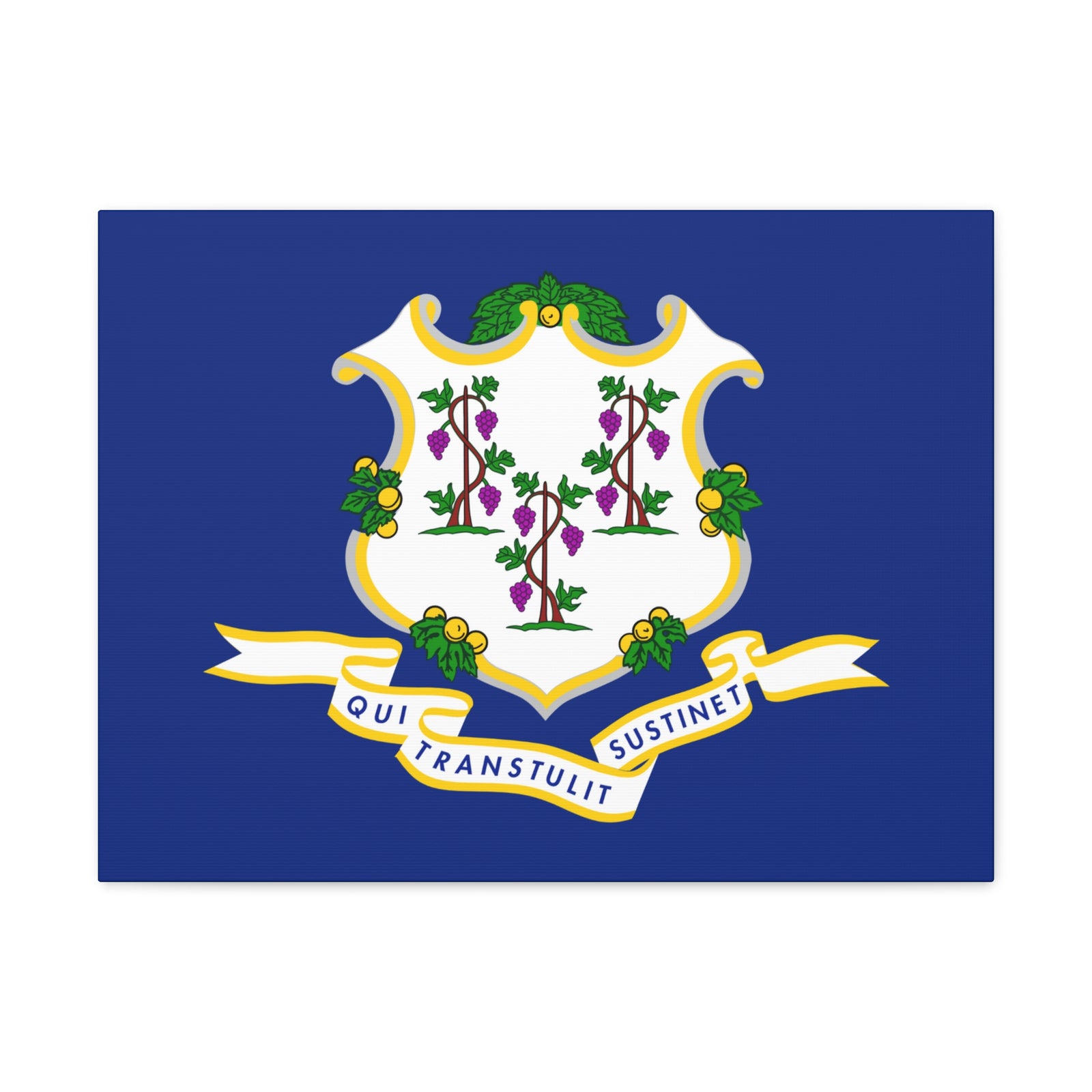 Connecticut State Flag Canvas Vibrant Wall Art Unframed Home Decor-Express Your Love Gifts