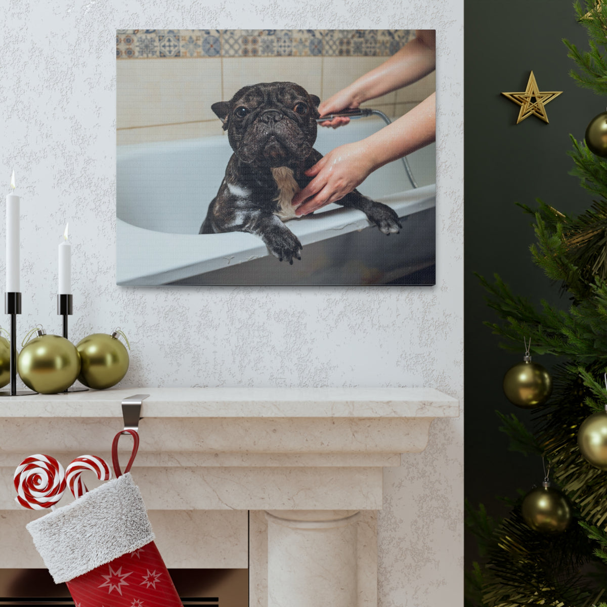 Cute French Bulldog Bath Canvas Wall Art for Home Decor Ready-to-Hang-Express Your Love Gifts