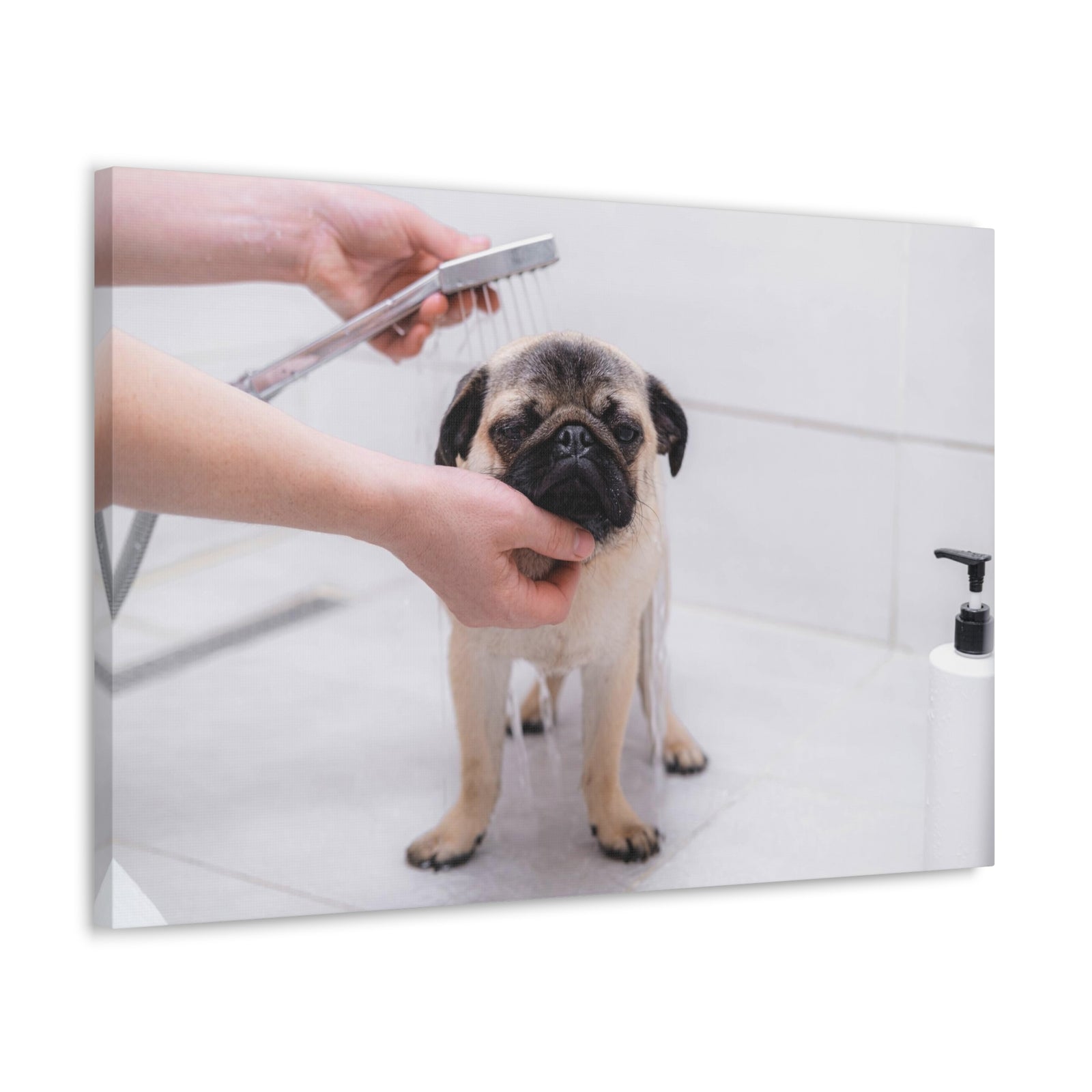 Cute Pug Bathee Canvas Wall Art for Home Decor Ready-to-Hang-Express Your Love Gifts