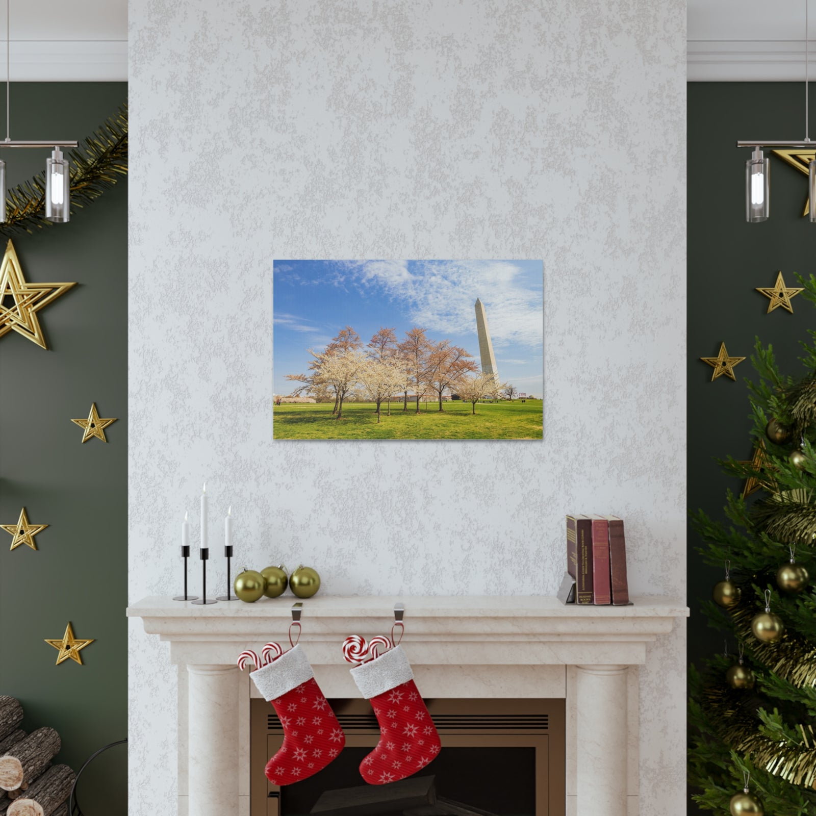 Pink Tree Cherry Blossom Festival at The National Mall Washington Modern Multicolor Scenic Nature Photography Canvas Home Office Decor Ready to Hang-Express Your Love Gifts