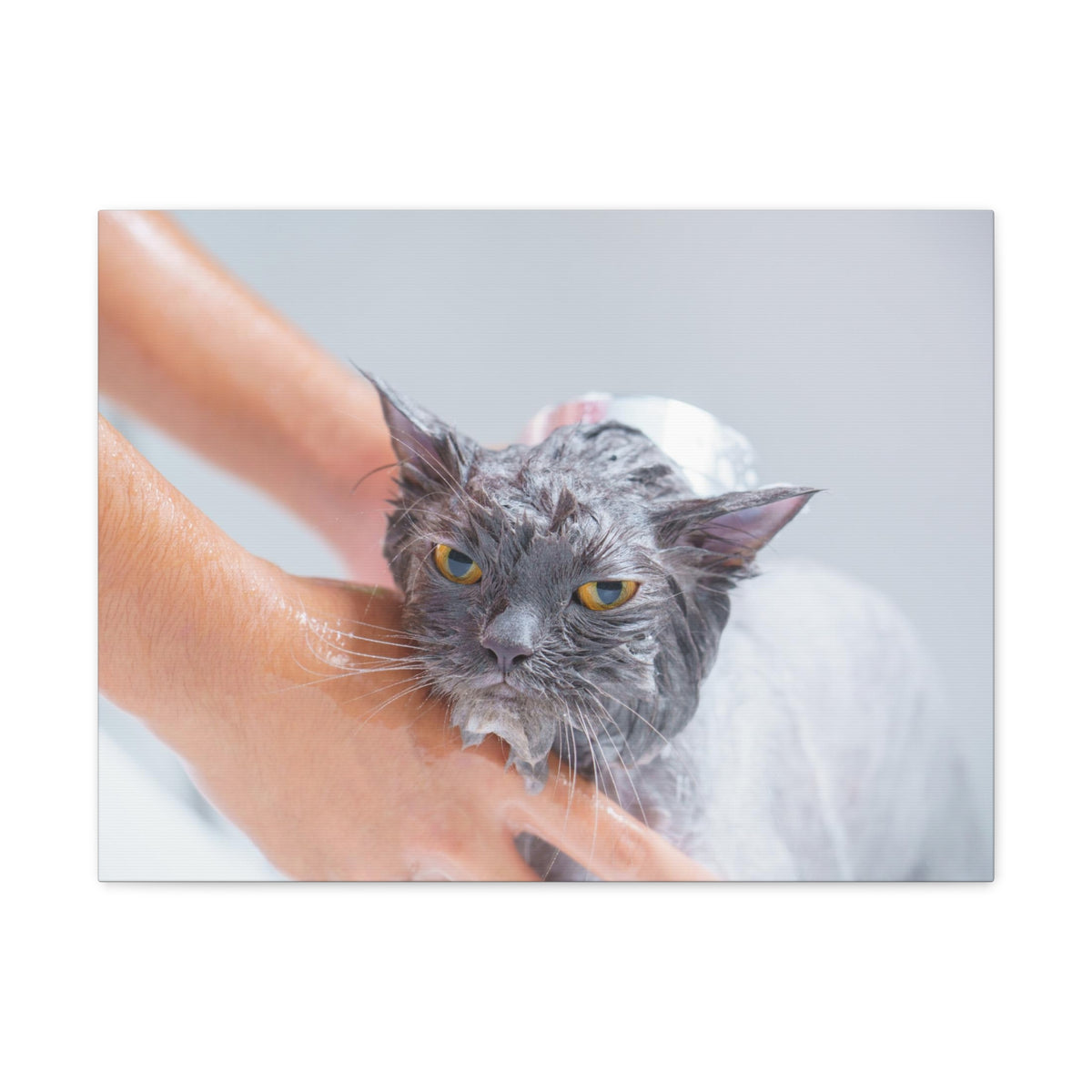 Cute Persian Cat Bath Canvas Wall Art for Home Decor Ready-to-Hang-Express Your Love Gifts