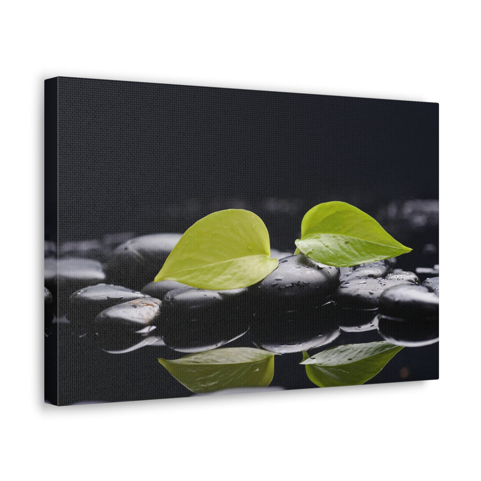 Green Leaf with Stones Forest Floral Nature Photography Canvas Wall Art for Home Decor Ready-to-Hang-Express Your Love Gifts