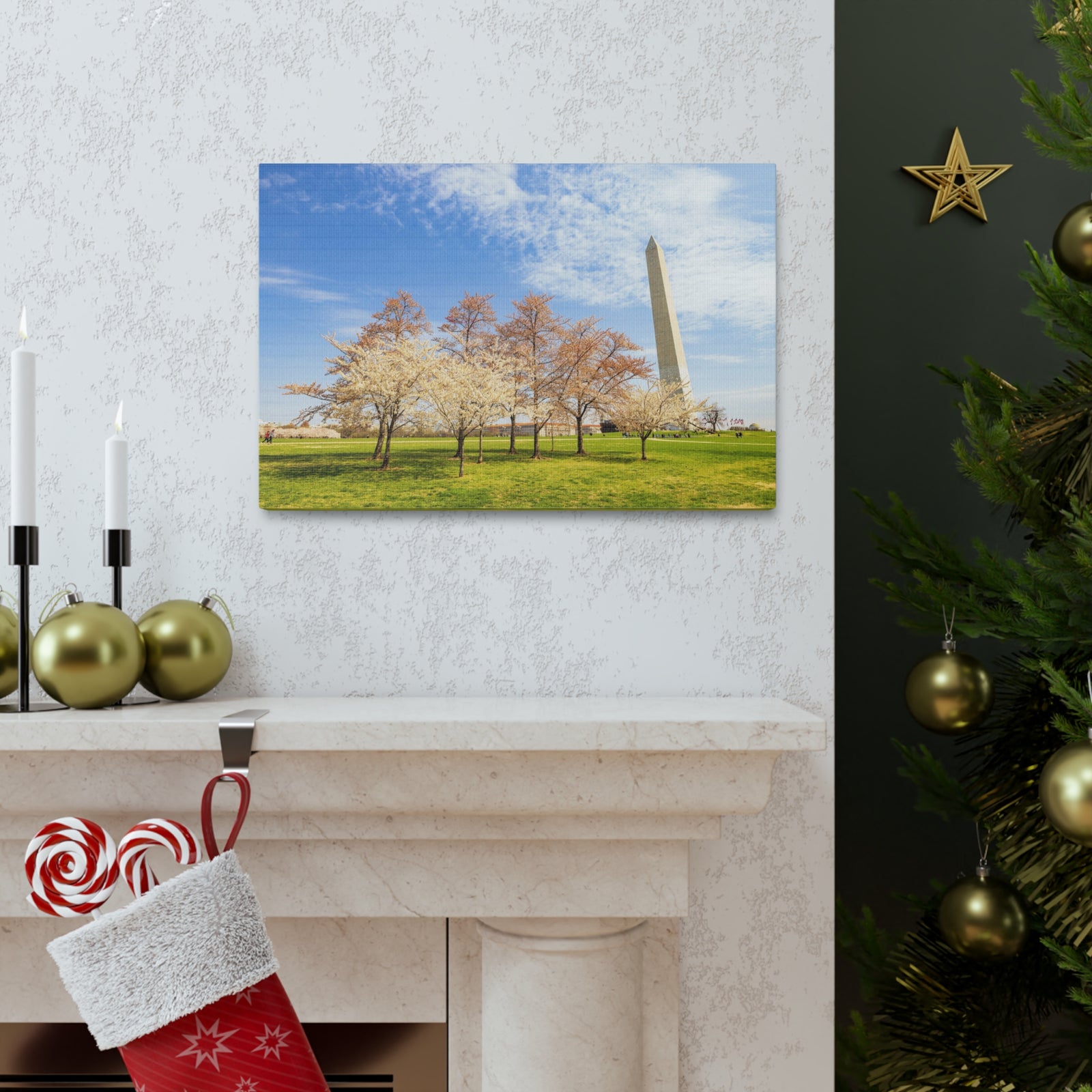 Pink Tree Cherry Blossom Festival at The National Mall Washington Modern Multicolor Scenic Nature Photography Canvas Home Office Decor Ready to Hang-Express Your Love Gifts