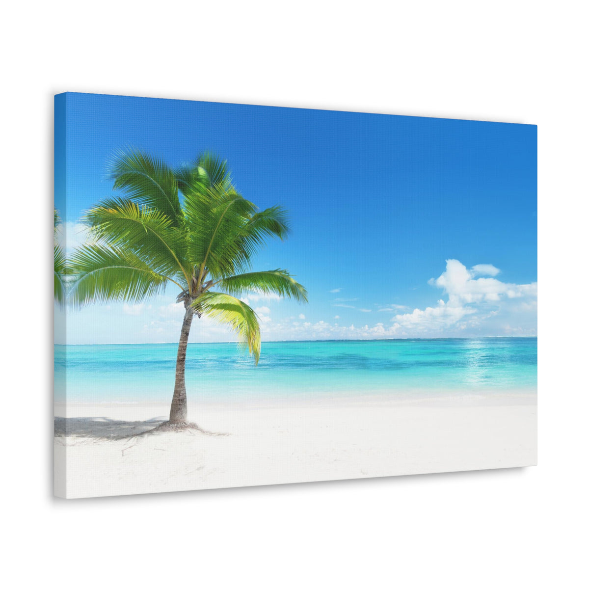 Palm on the beach in Daylight Ocean Canvas Wall Art for Home Decor Ready-to-Hang-Express Your Love Gifts