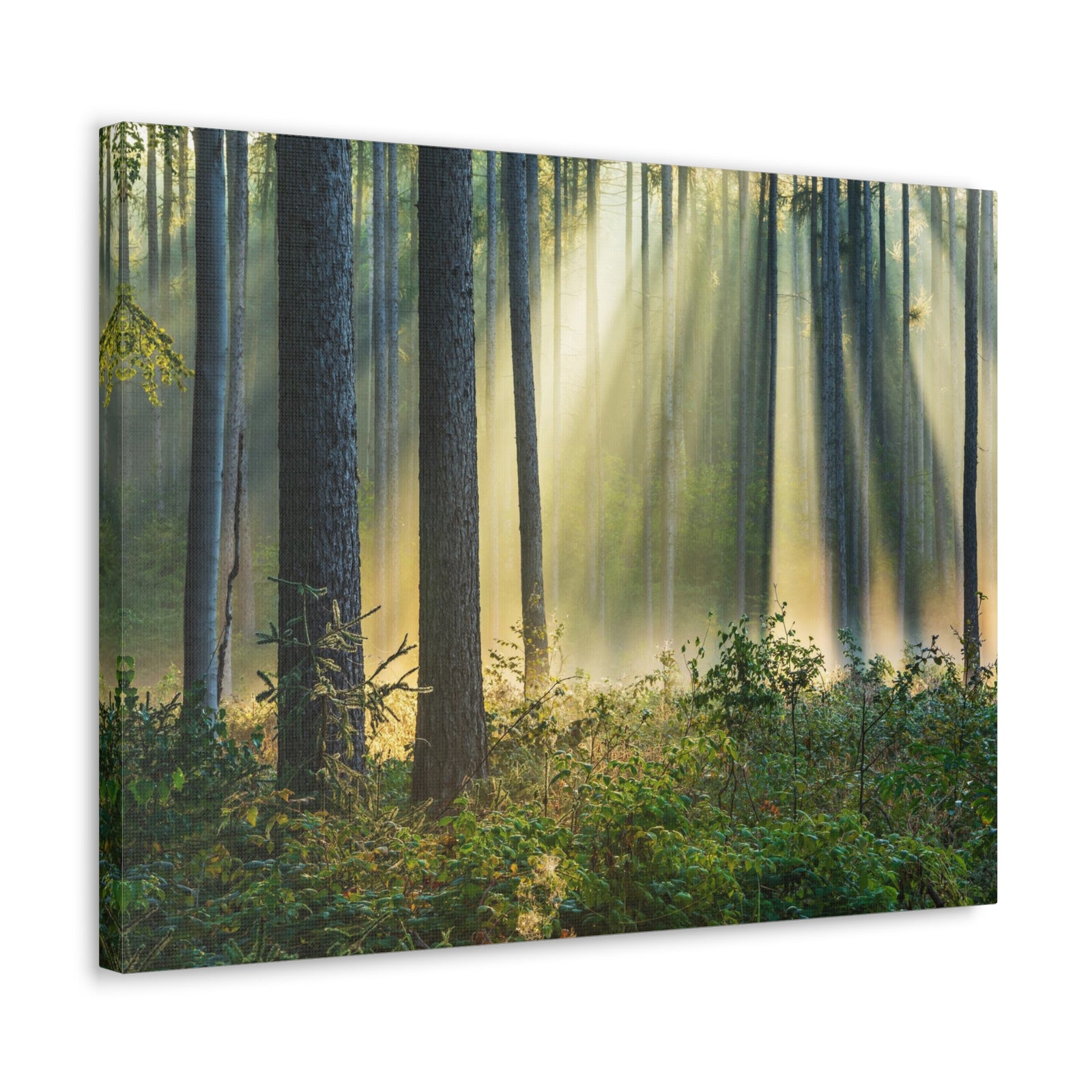 Sunrise Green Forest Nature Wilderness Photography Canvas Wall Art for Home Decor Ready-to-Hang-Express Your Love Gifts