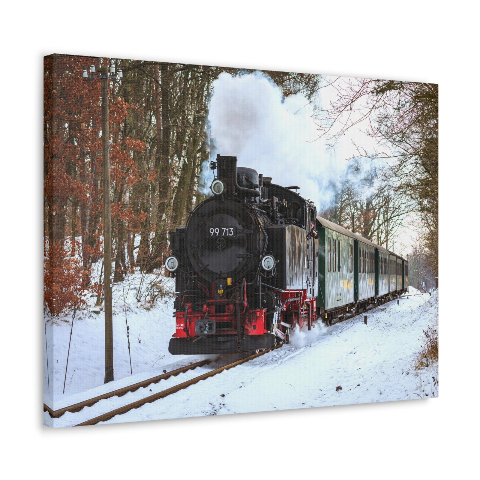 Steam Train Winter White Smoke Modern Multicolor Scenic Nature Photography Canvas Home Office Decor Ready to Hang-Express Your Love Gifts