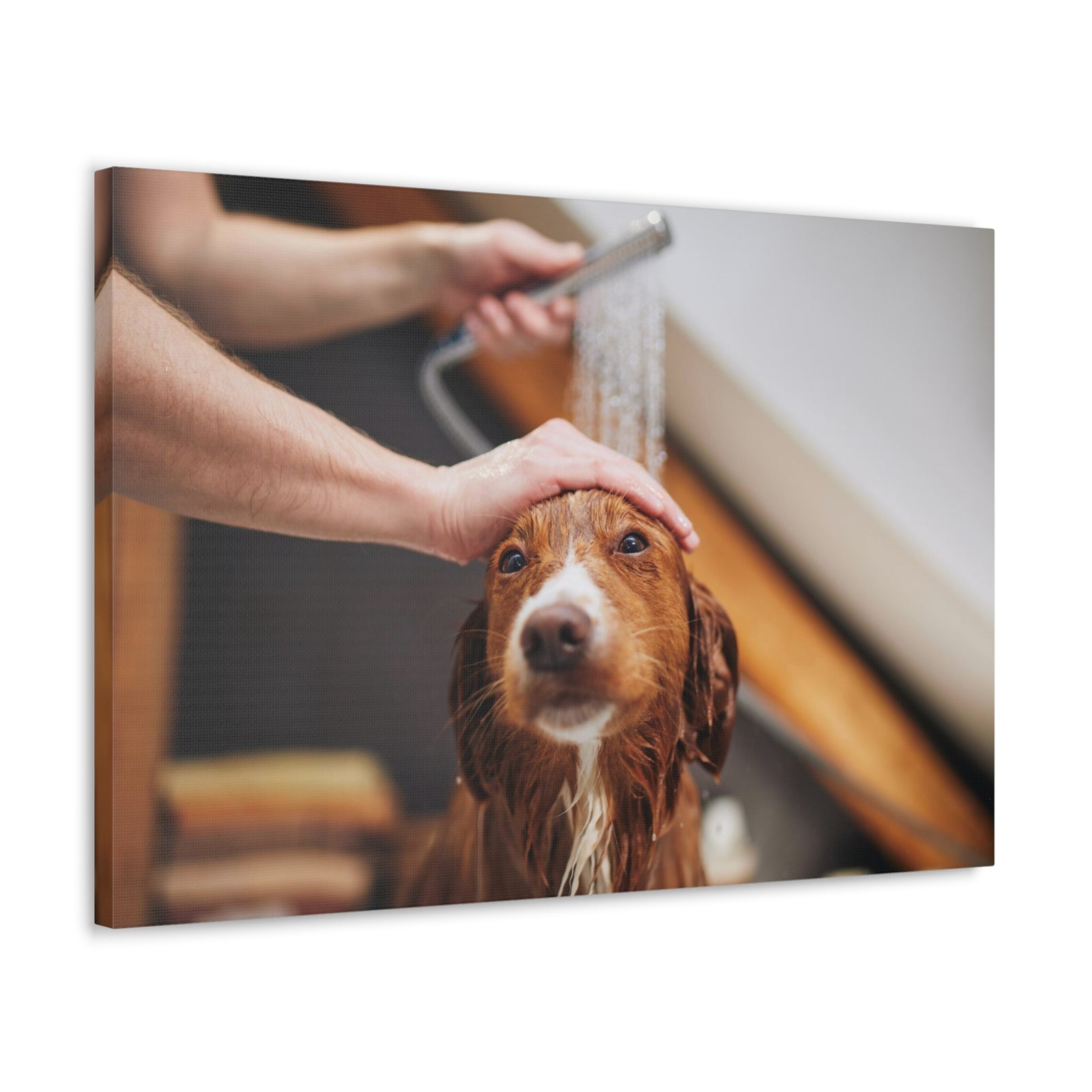 Cute Tolling Retriever Bath Canvas Wall Art for Home Decor Ready-to-Hang-Express Your Love Gifts