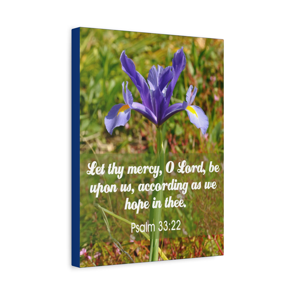 Scripture Walls Hope In Thee Psalm 33:22 Bible Verse Canvas Christian Wall Art Ready to Hang-Express Your Love Gifts