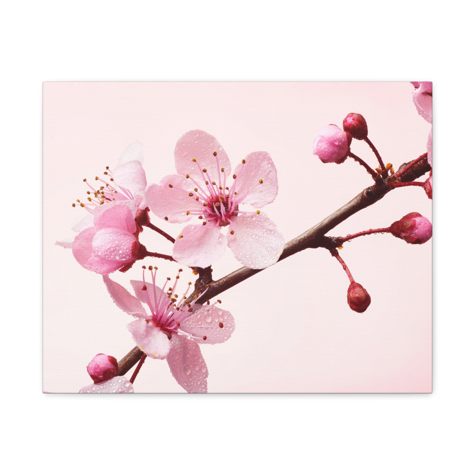Cherry Blossom Branch Forest Floral Nature Photography Canvas Wall Art for Home Decor Ready-to-Hang-Express Your Love Gifts