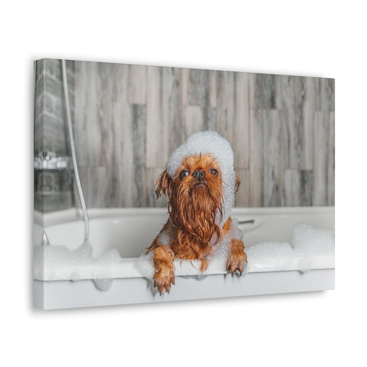 Cute Little Griffon Bathee Canvas Wall Art for Home Decor Ready-to-Hang-Express Your Love Gifts