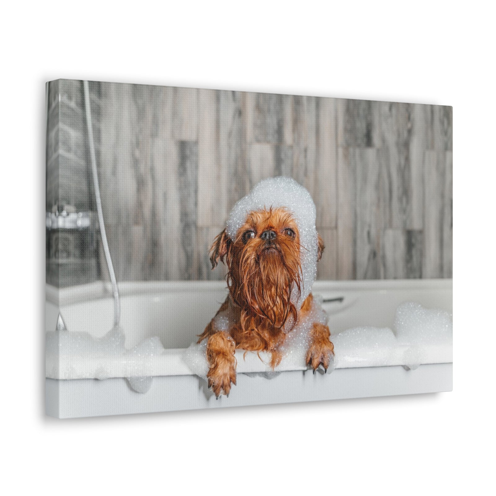 Cute Little Griffon Bathee Canvas Wall Art for Home Decor Ready-to-Hang-Express Your Love Gifts