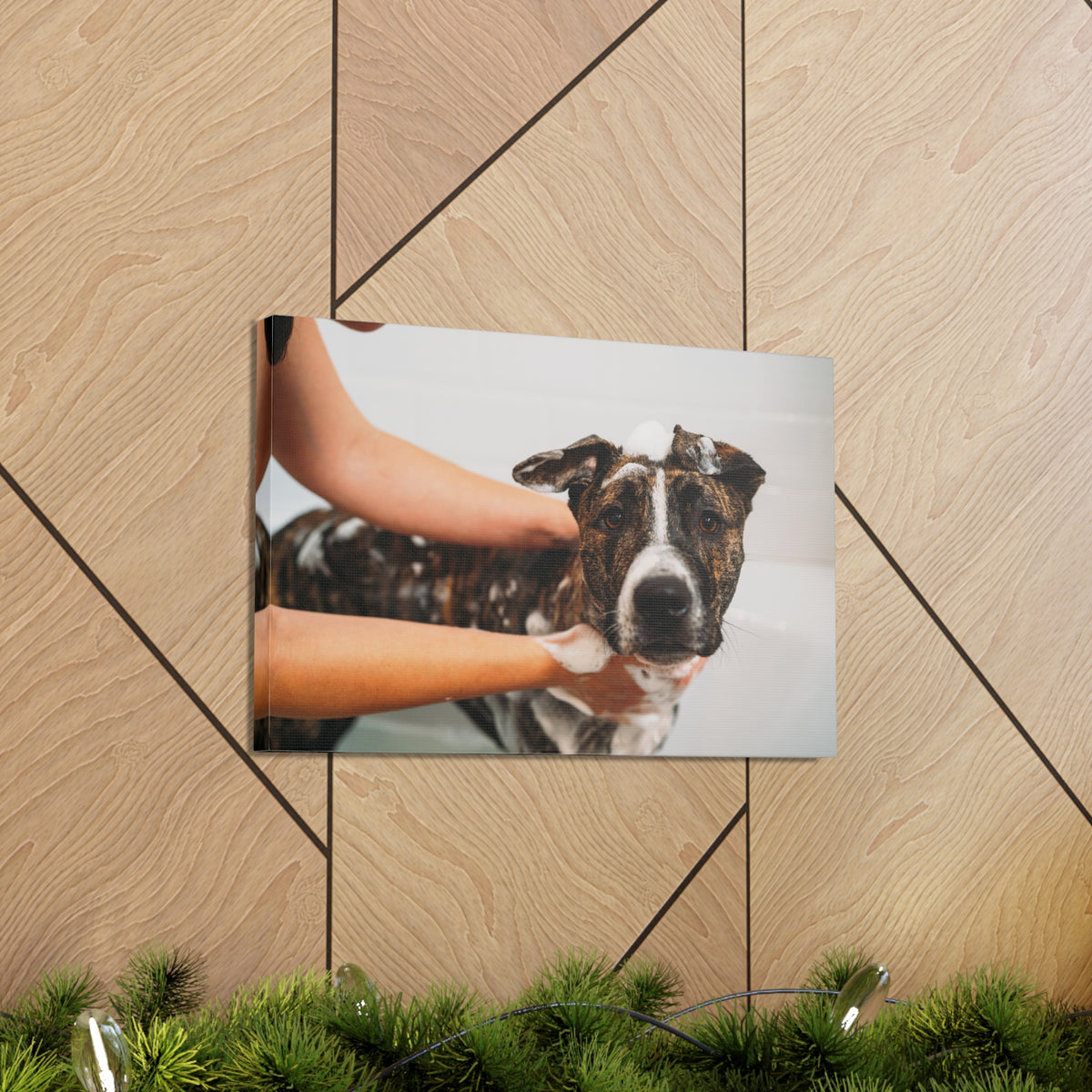 Cute American Staffordshire Terrier Bathee Canvas Wall Art for Home Decor Ready-to-Hang-Express Your Love Gifts