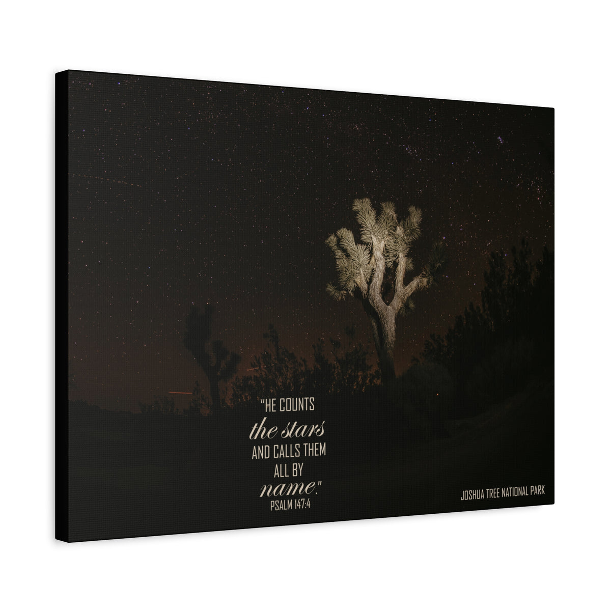 Scripture Walls Counts The Stars Psalm 147:4 Bible Verse Canvas Christian Wall Art Ready to Hang-Express Your Love Gifts