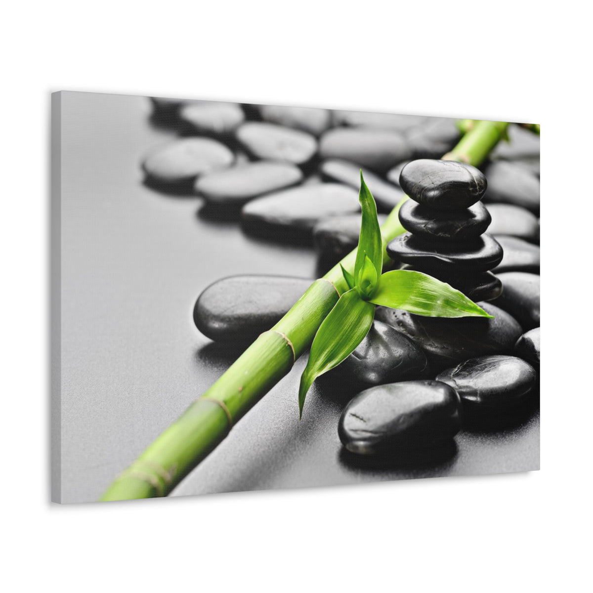 Basalt Stones on Black Forest Floral Nature Photography Canvas Wall Art for Home Decor Ready-to-Hang-Express Your Love Gifts