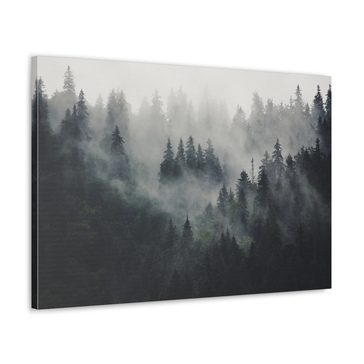 Misty Pine Tree Green Forest Nature Wilderness Photography Canvas Wall Art for Home Decor Ready-to-Hang-Express Your Love Gifts