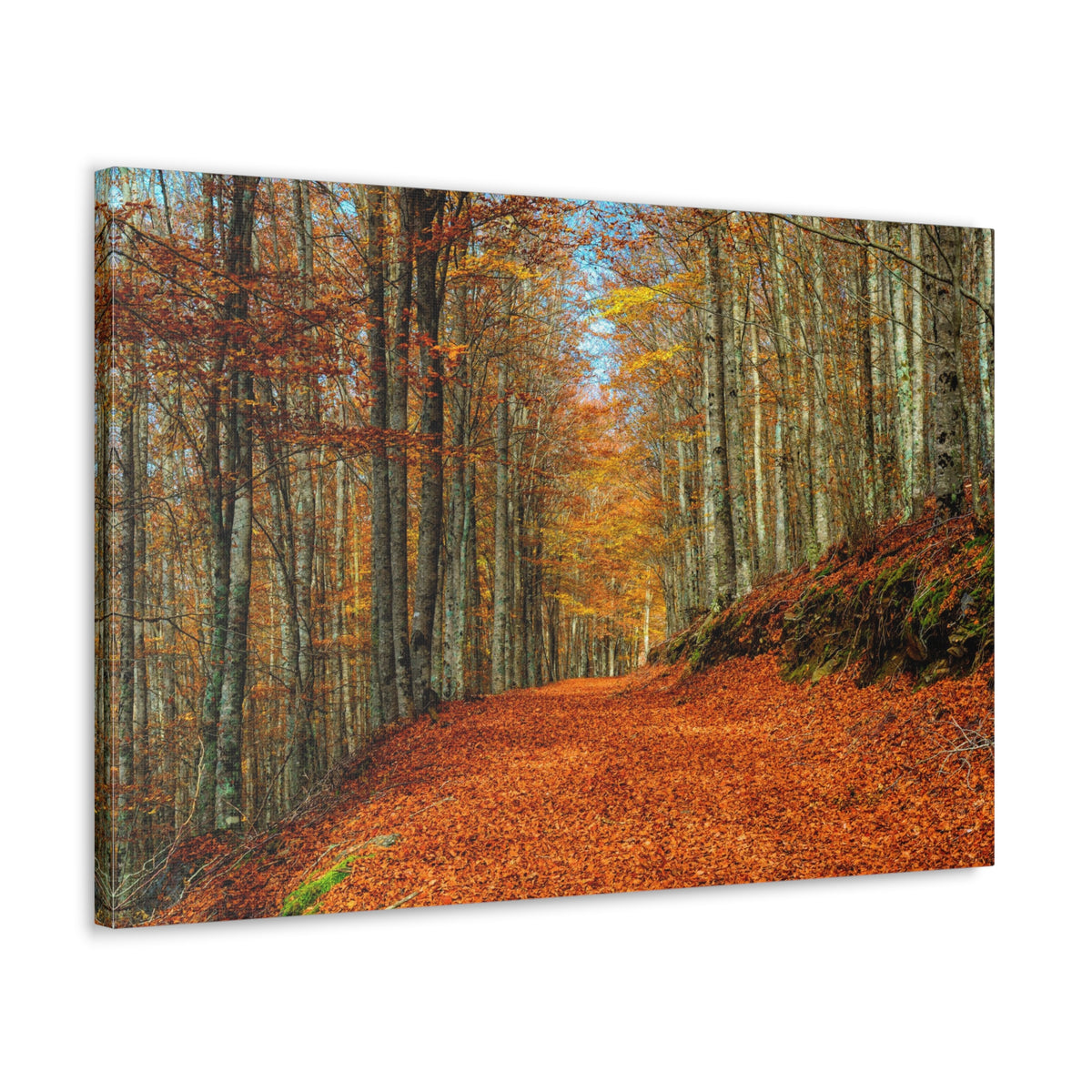 Path Through Red & Orange Autumn Park Nature Wilderness Photography Canvas Wall Art for Home Decor Ready-to-Hang-Express Your Love Gifts