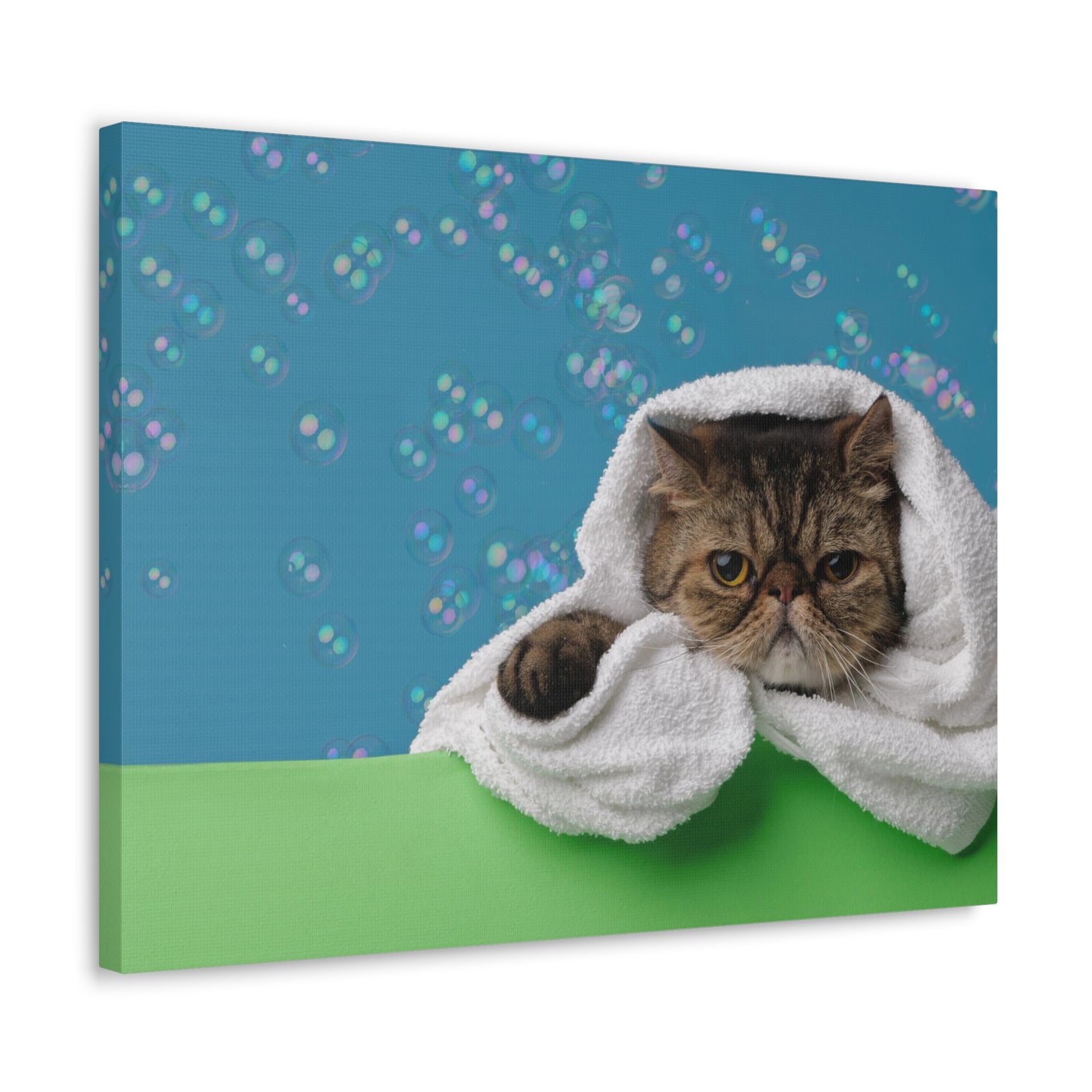 Cute Exotic Shorthair Bathee Canvas Wall Art for Home Decor Ready-to-Hang-Express Your Love Gifts