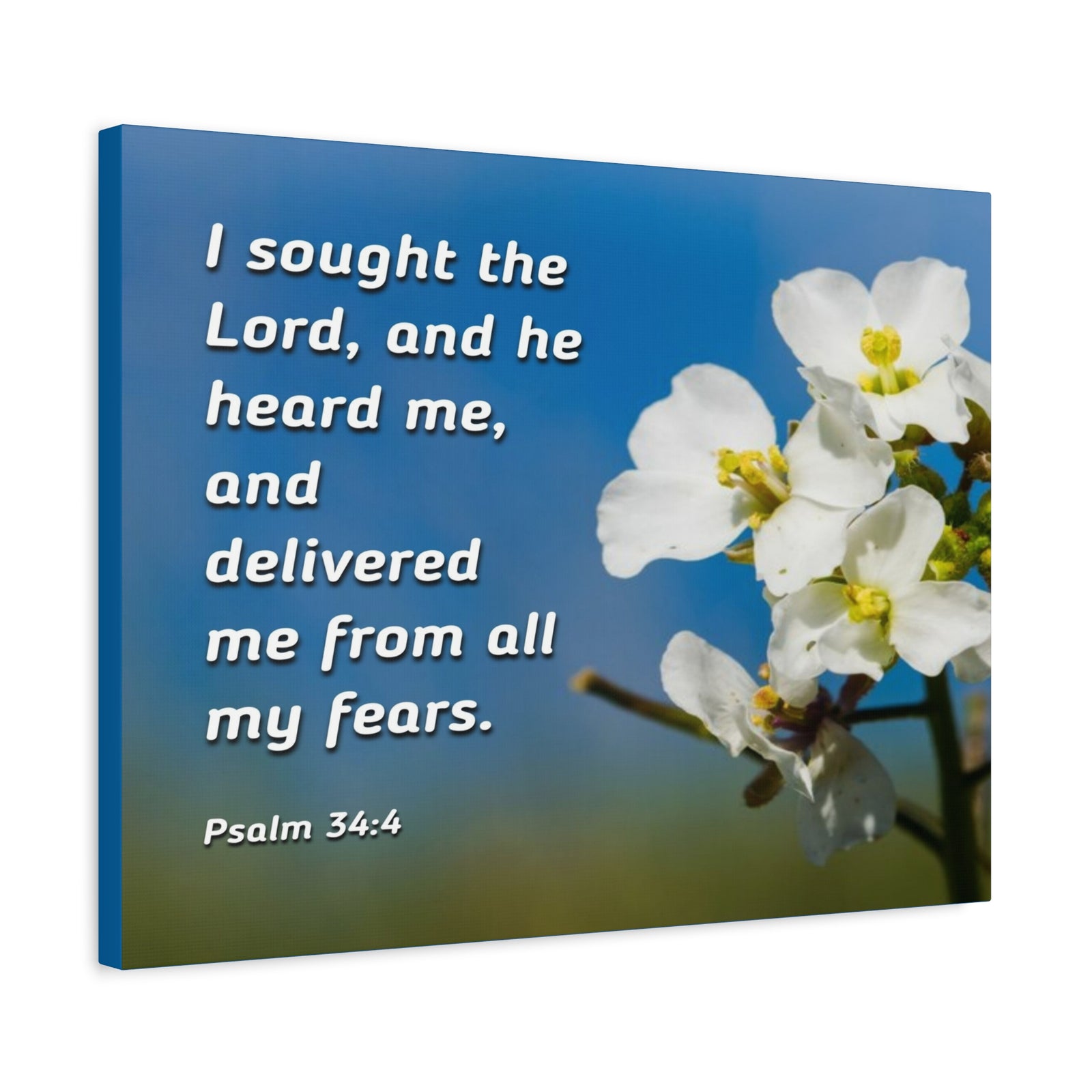 Scripture Canvas He Heard Me Psalm 34:4 Christian Wall Art Bible Verse Print Ready to Hang-Express Your Love Gifts
