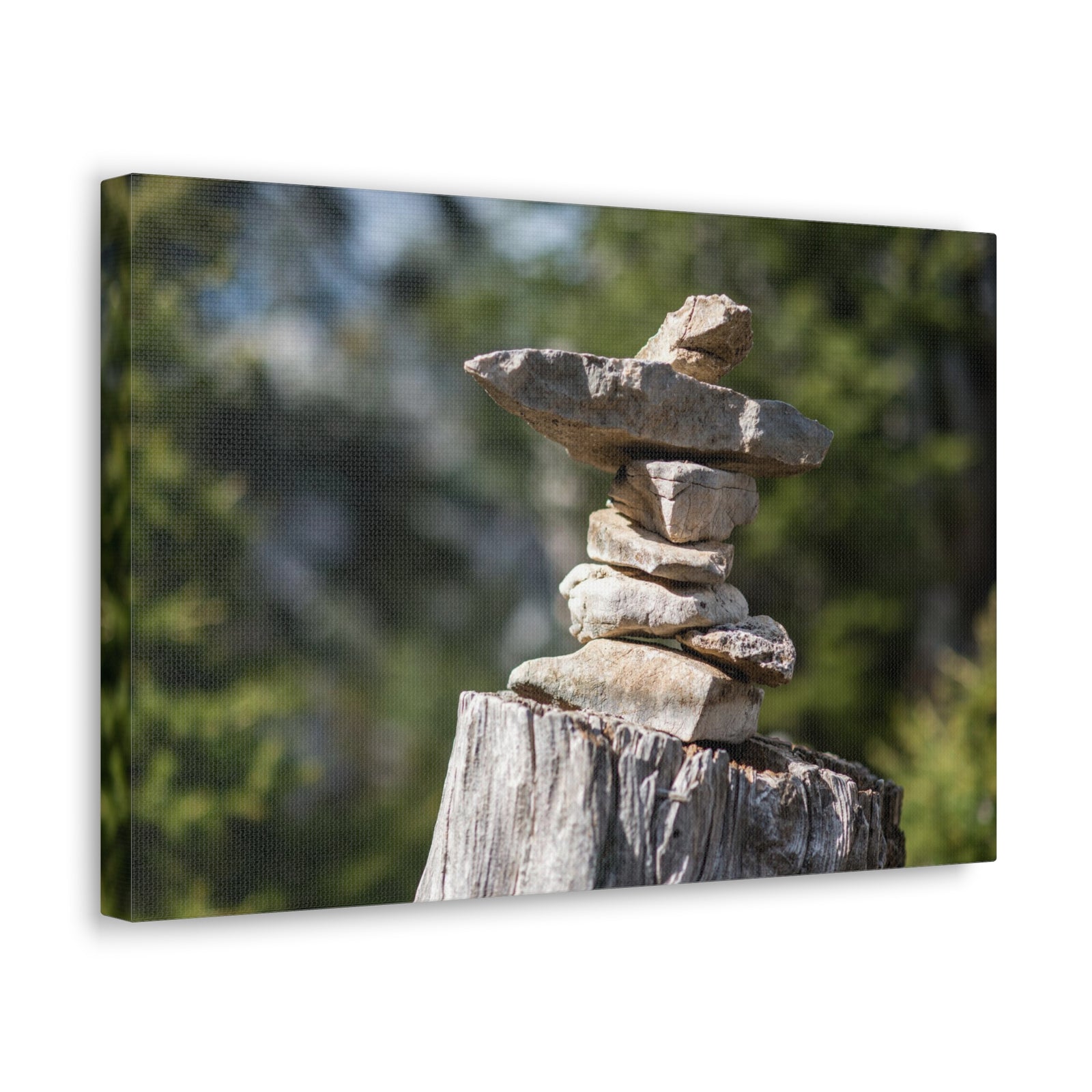 Stones Trail as Marker Forest Floral Nature Photography Canvas Wall Art for Home Decor Ready-to-Hang-Express Your Love Gifts