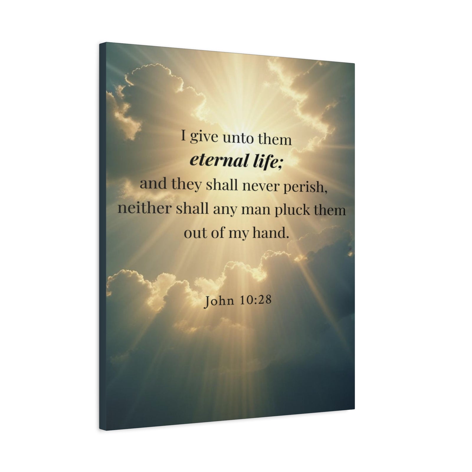 Scripture Walls John 10:28 Eternal Assurance Bible Verse Canvas Christian Wall Art Ready to Hang Unframed-Express Your Love Gifts