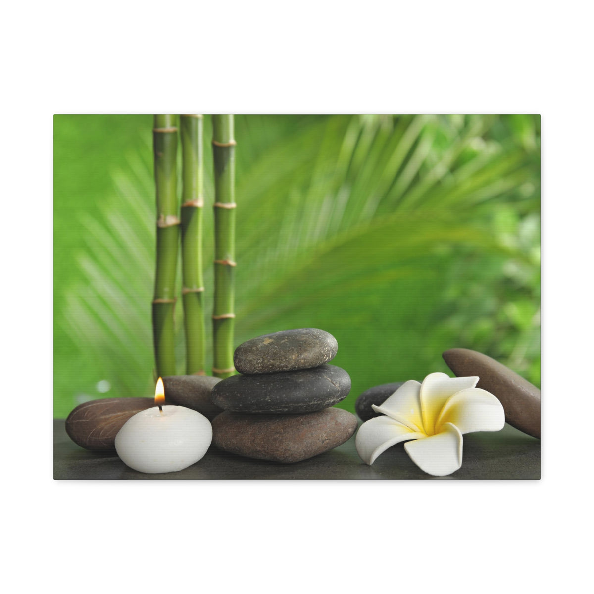 Stones on Table Forest Floral Nature Photography Canvas Wall Art for Home Decor Ready-to-Hang-Express Your Love Gifts