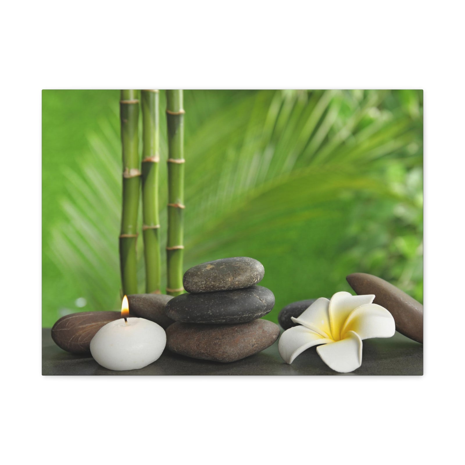 Stones on Table Forest Floral Nature Photography Canvas Wall Art for Home Decor Ready-to-Hang-Express Your Love Gifts