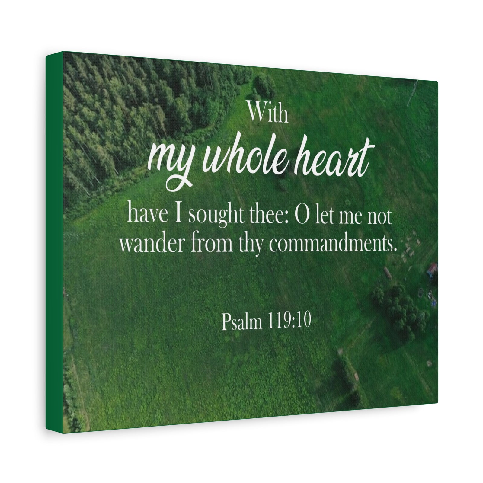 Scripture Walls Psalm 119:10 Whole Heart Bible Verse Canvas Christian Wall Art Ready to Hang Unframed-Express Your Love Gifts