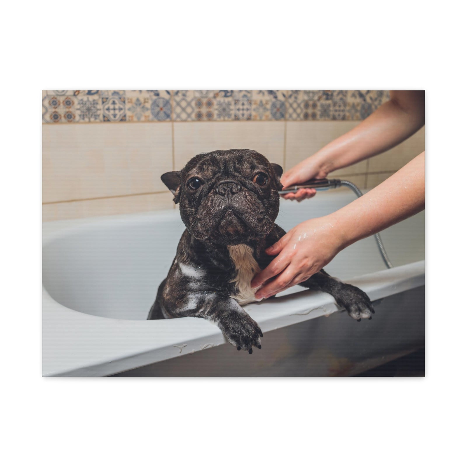 Cute French Bulldog Bath Canvas Wall Art for Home Decor Ready-to-Hang-Express Your Love Gifts
