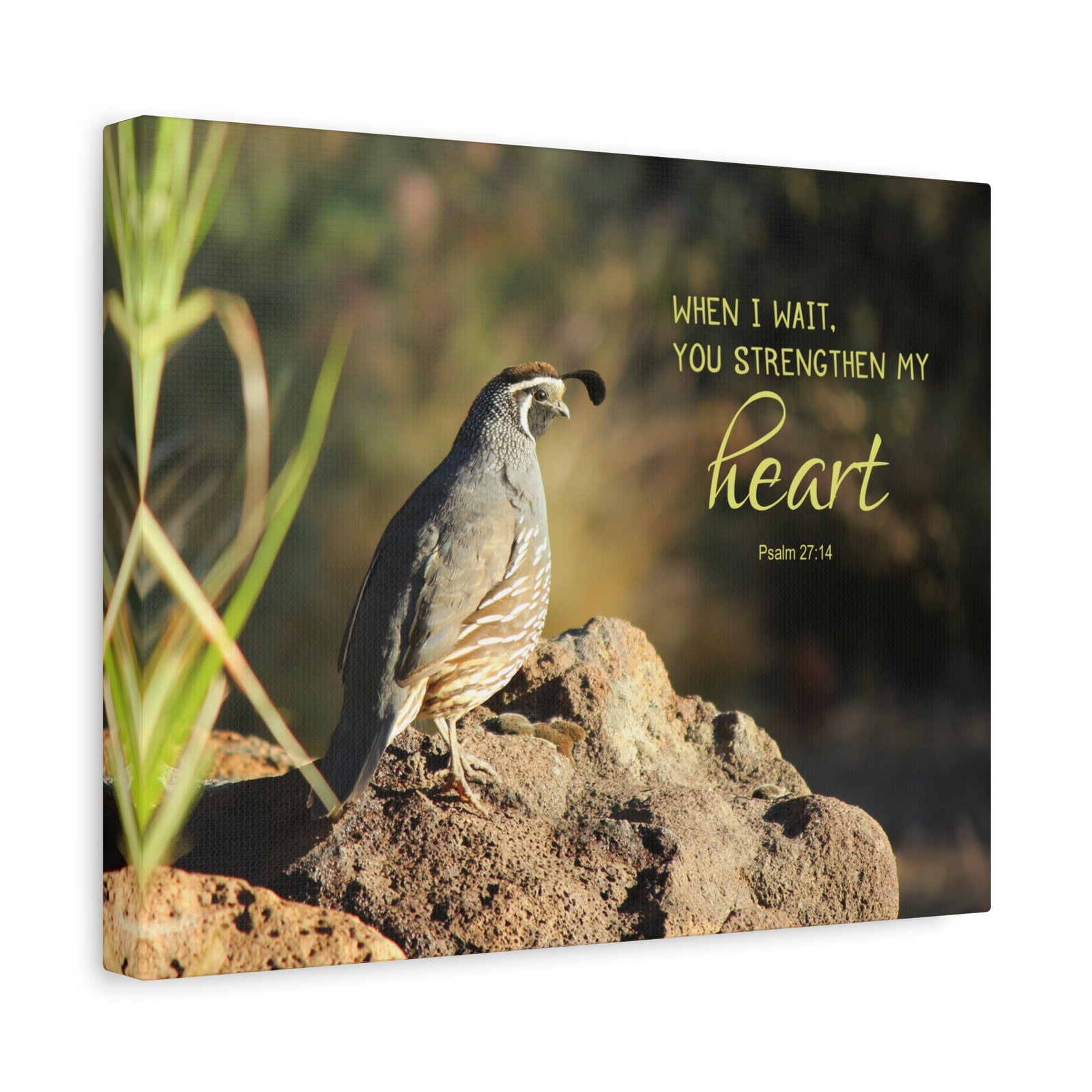 Scripture Walls Strengthen My Heart Psalm 27:14 Bird Bible Verse Canvas Christian Wall Art Ready to Hang-Express Your Love Gifts