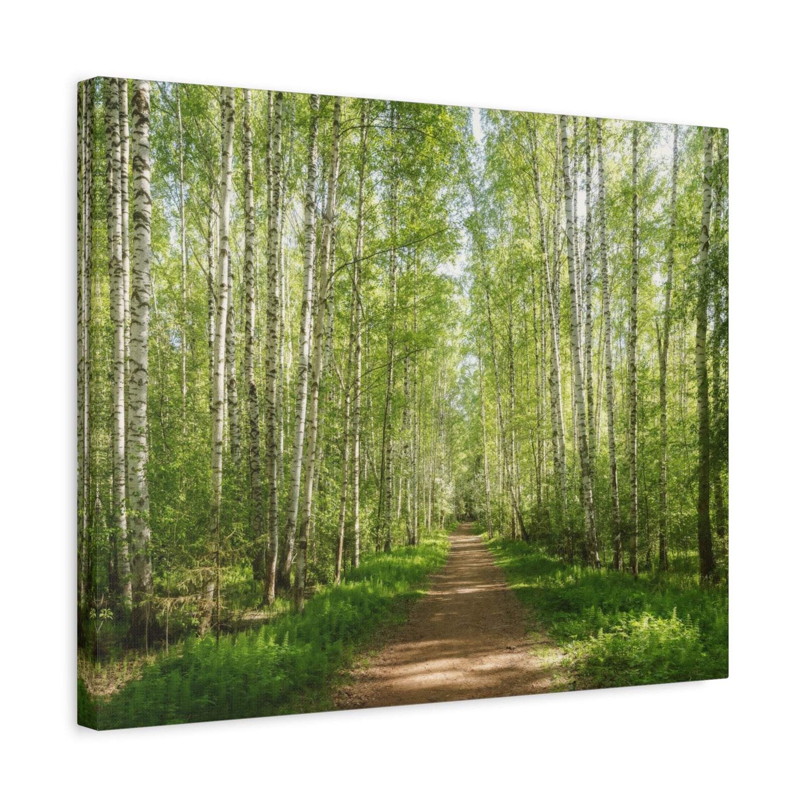 Forest Path Green Tree Nature Wilderness Photography Canvas Wall Art for Home Decor Ready-to-Hang-Express Your Love Gifts