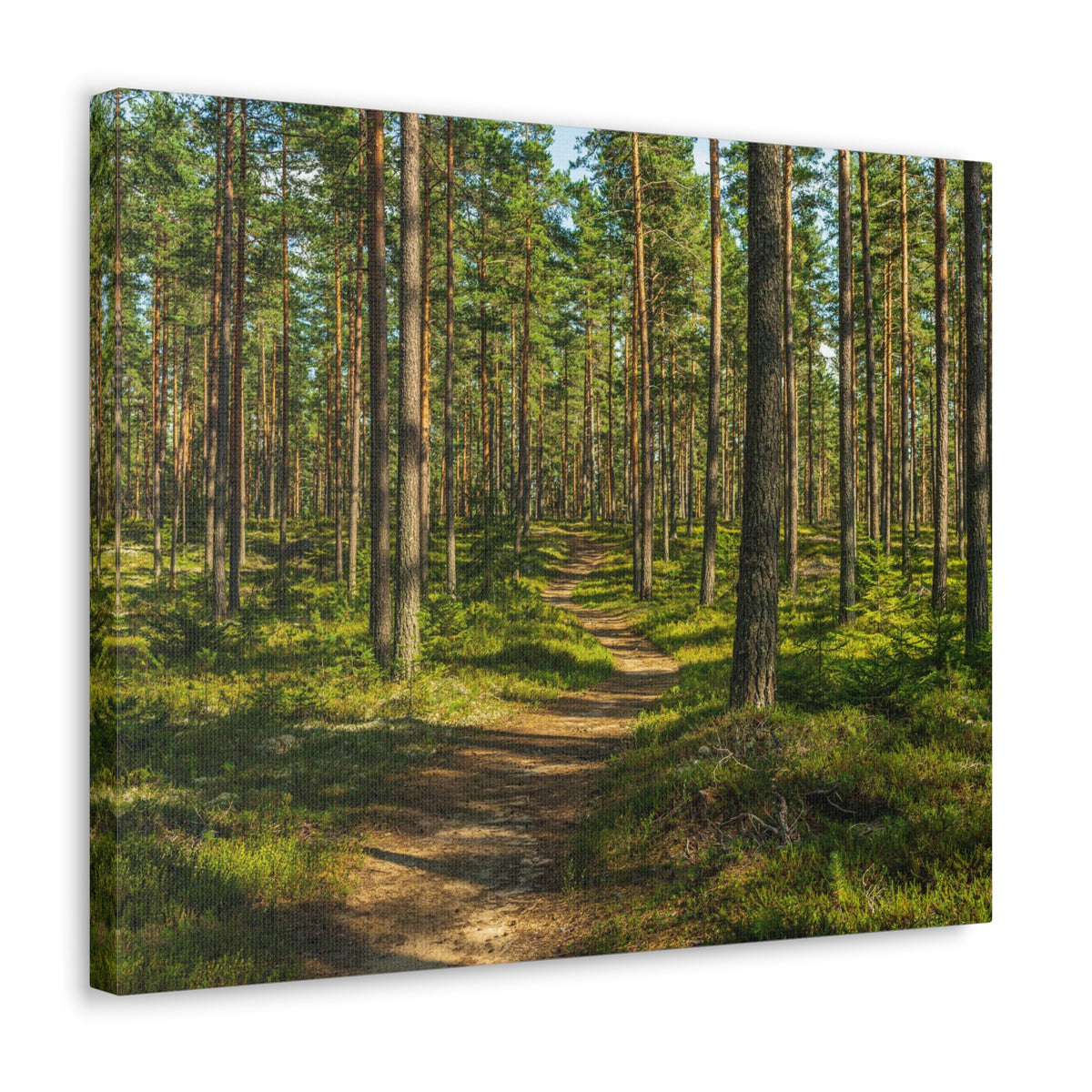 Green Forest Tree Path Nature Wilderness Photography Canvas Wall Art for Home Decor Ready-to-Hang-Express Your Love Gifts