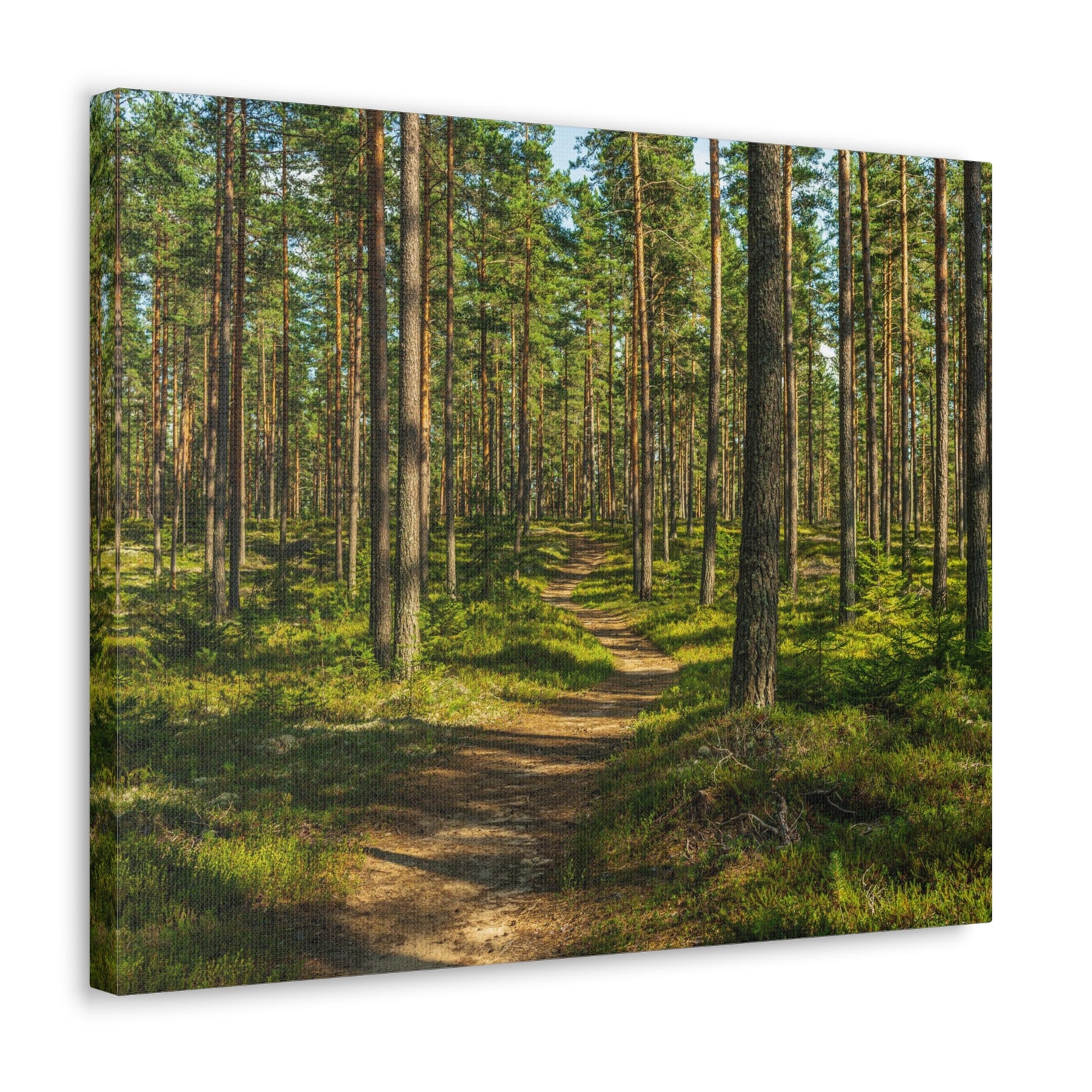 Green Forest Tree Path Nature Wilderness Photography Canvas Wall Art for Home Decor Ready-to-Hang-Express Your Love Gifts