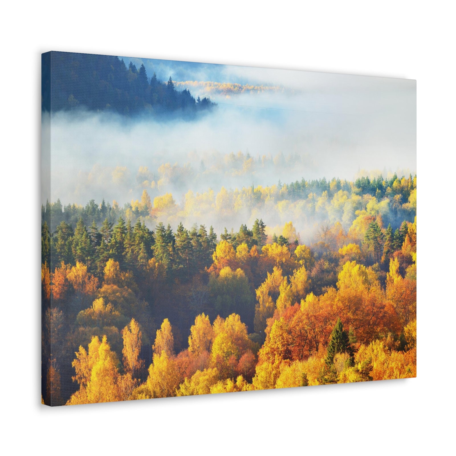 Forest Mystic Autumn Nature Wilderness Photography Canvas Wall Art for Home Decor Ready-to-Hang-Express Your Love Gifts