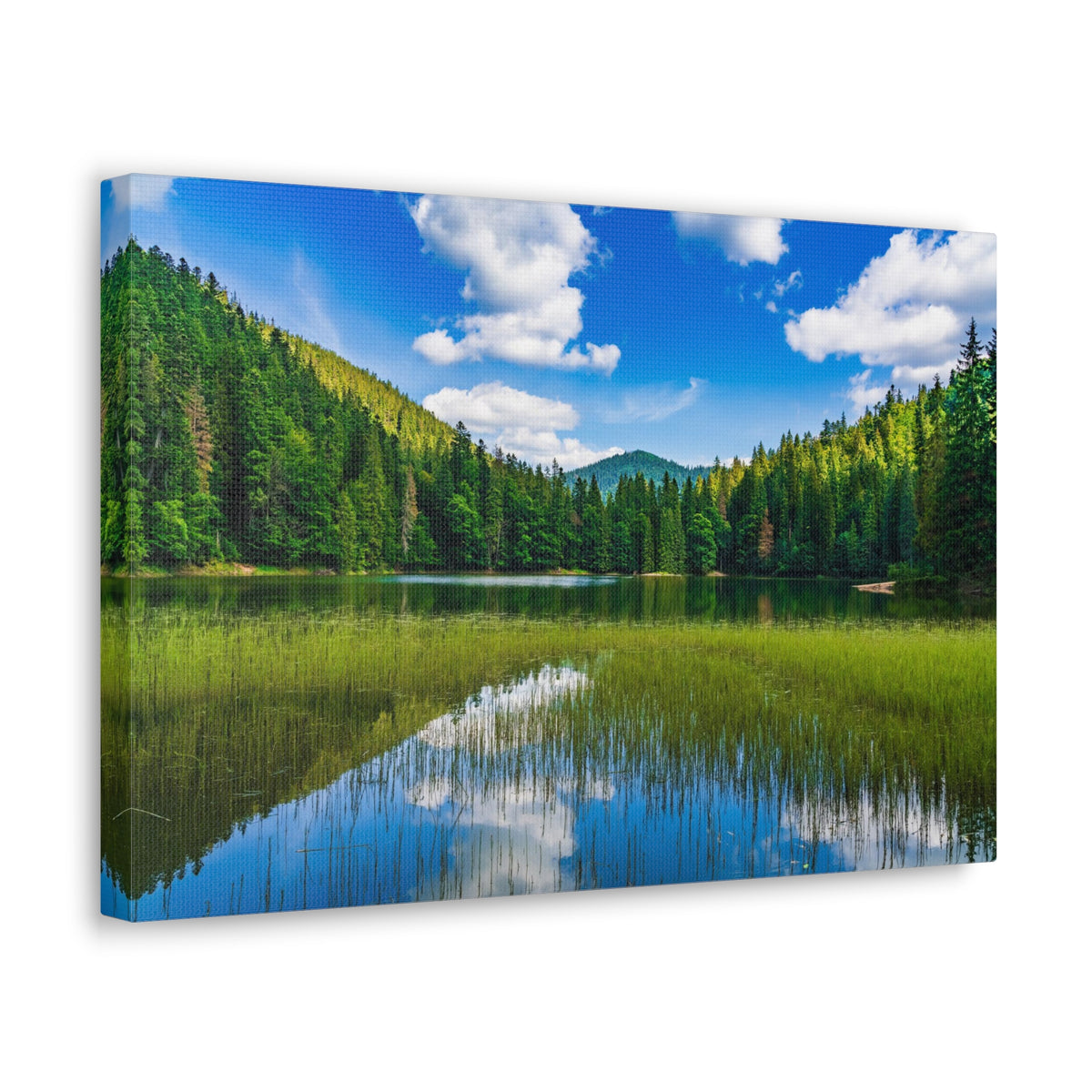 Teal Clear Forest LakeNature Wilderness Photography Canvas Wall Art for Home Decor Ready-to-Hang-Express Your Love Gifts