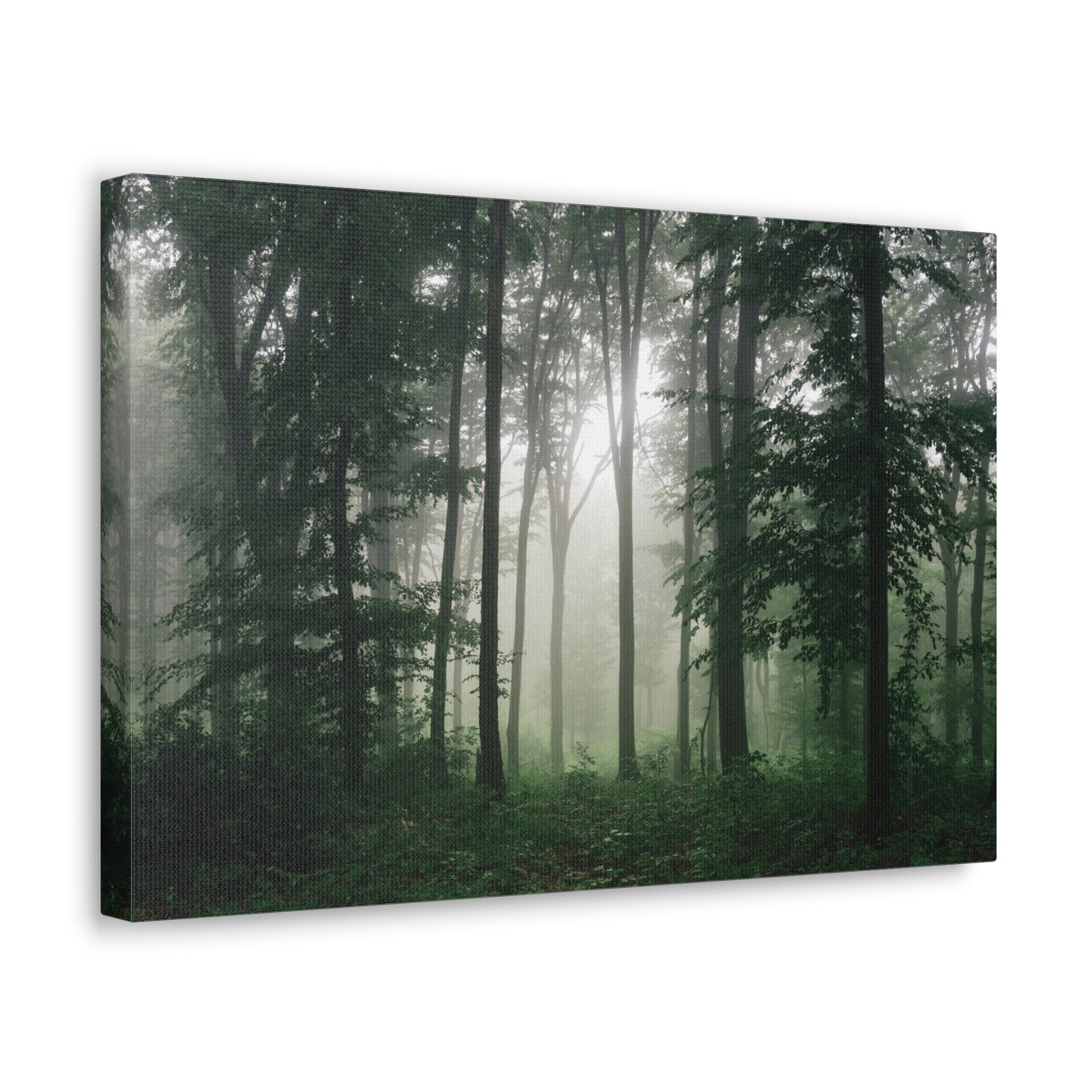 Pine Tree Misty Forest Nature Wilderness Photography Canvas Wall Art for Home Decor Ready-to-Hang-Express Your Love Gifts
