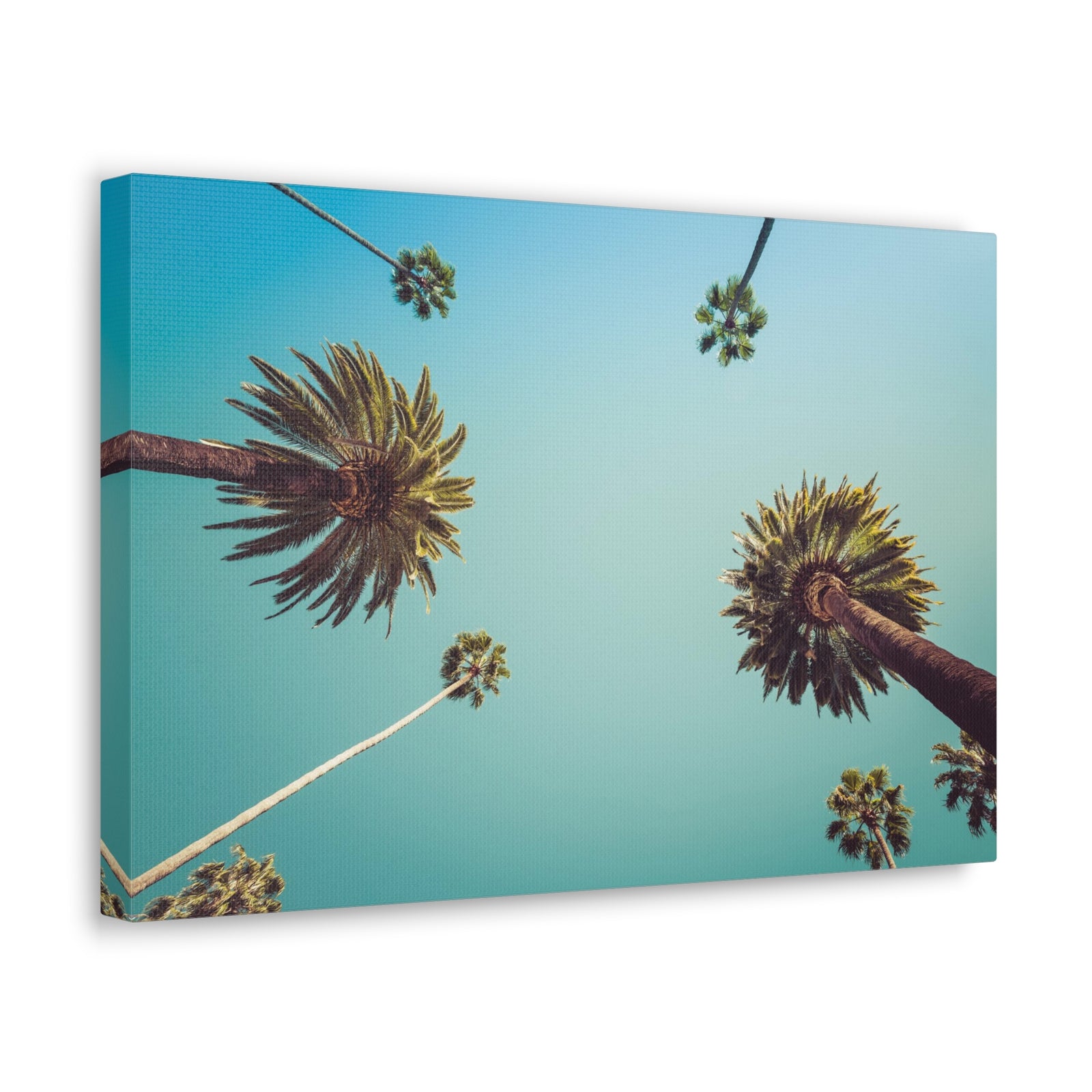 Los Angeles Palm Trees Modern Multicolor Scenic Nature Photography Canvas Home Office Decor Ready to Hang-Express Your Love Gifts