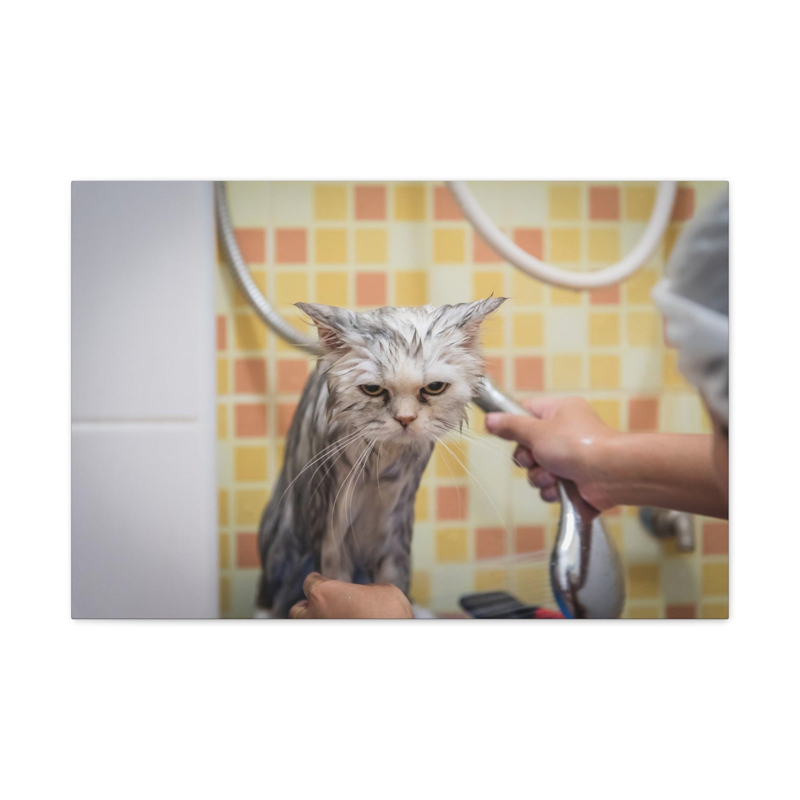 Cute Maine Coon Bath Canvas Wall Art for Home Decor Ready-to-Hang-Express Your Love Gifts
