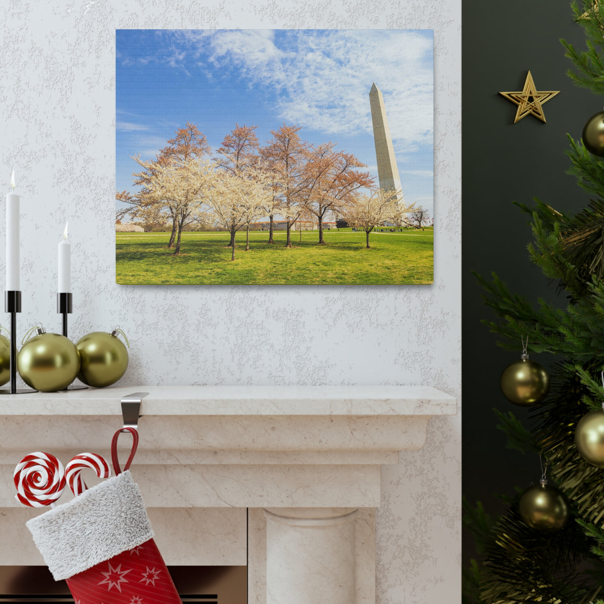 Pink Tree Cherry Blossom Festival at The National Mall Washington Modern Multicolor Scenic Nature Photography Canvas Home Office Decor Ready to Hang-Express Your Love Gifts