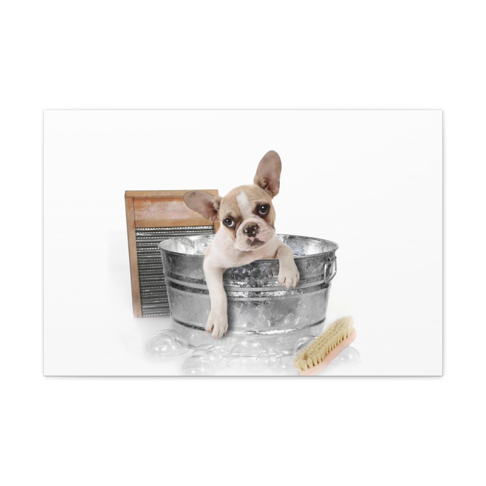 Cute French Bulldog Bath Canvas Wall Art for Home Decor Ready-to-Hang-Express Your Love Gifts