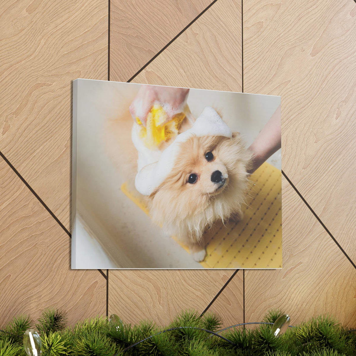 Cute Pomeranian Bathee Canvas Wall Art for Home Decor Ready-to-Hang-Express Your Love Gifts