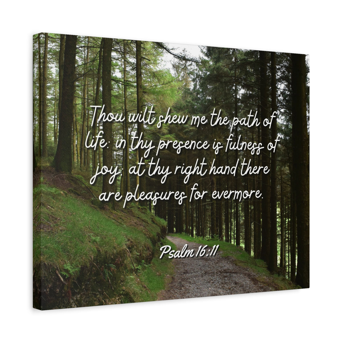 Scripture Walls The Path Of Life Psalm 16:11 Bible Verse Canvas Christian Wall Art Ready to Hang-Express Your Love Gifts