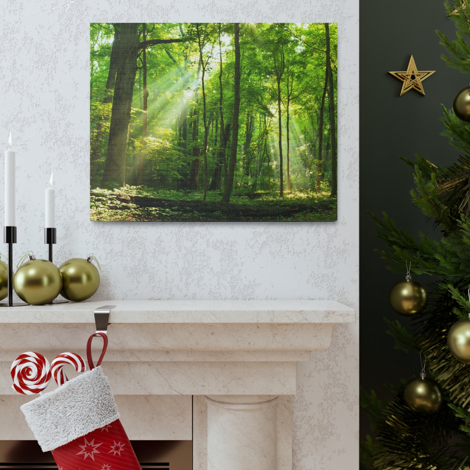 Green Forest Summer Sunlight Nature Wilderness Photography Canvas Wall Art for Home Decor Ready-to-Hang-Express Your Love Gifts