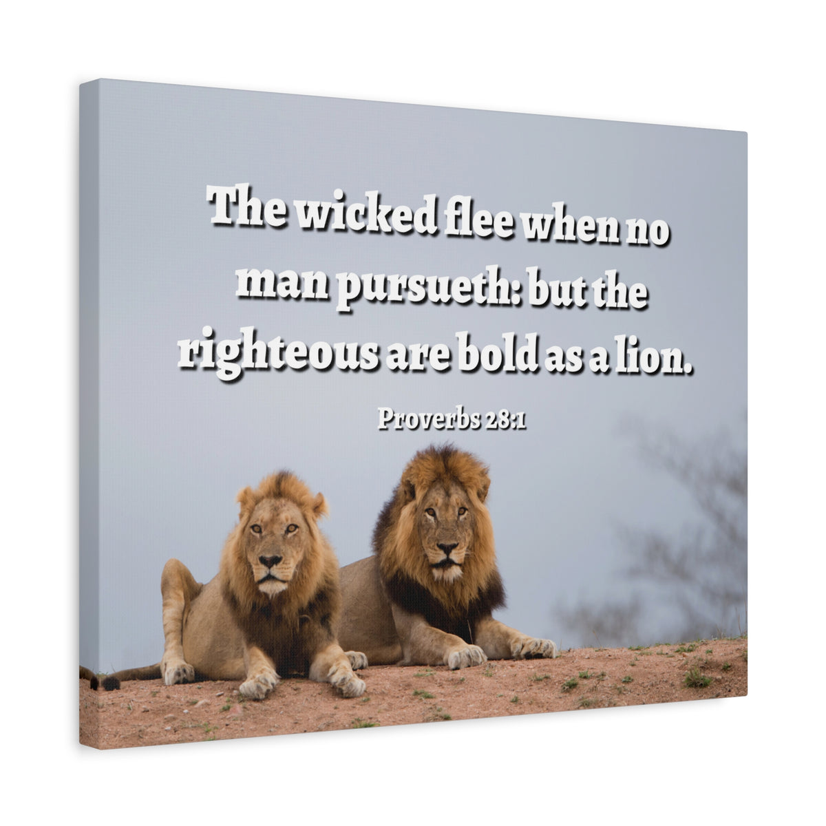 Scripture Walls The Righteous Proverbs 28:1 Bible Verse Canvas Christian Wall Art Ready to Hang-Express Your Love Gifts