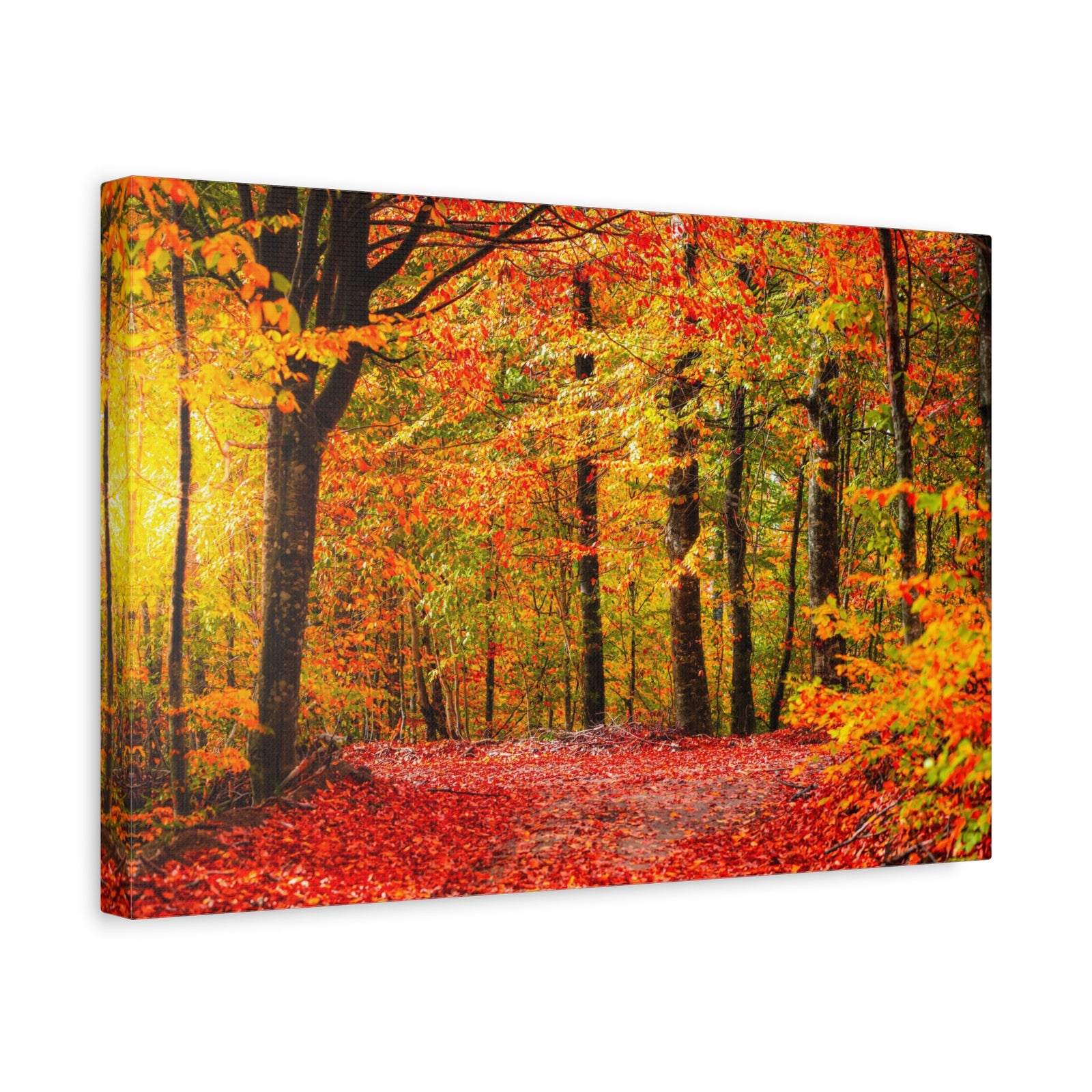 Autumn Forest Orange Leave Tree Nature Wilderness Photography Canvas Wall Art for Home Decor Ready-to-Hang-Express Your Love Gifts
