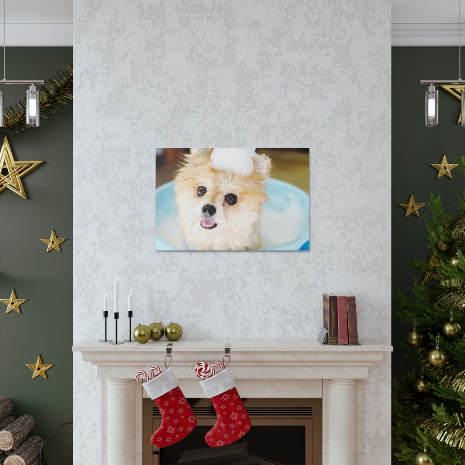 Cute Pomeranian Bathee Canvas Wall Art for Home Decor Ready-to-Hang-Express Your Love Gifts