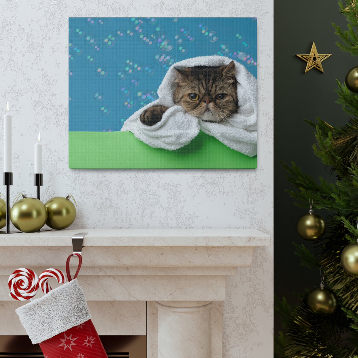 Cute Exotic Shorthair Bathee Canvas Wall Art for Home Decor Ready-to-Hang-Express Your Love Gifts